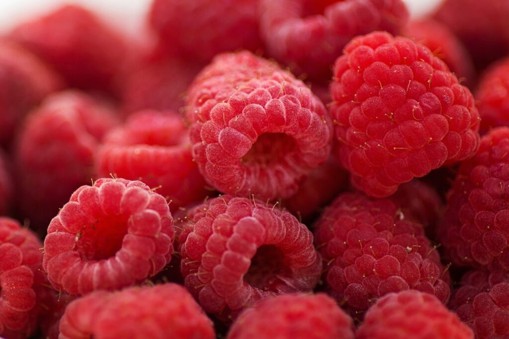 raspberries, breakfast, summer, fruit, healthy, dessert, sweet, berries, delicious, tasty, natural, organic, diet, nutrition, ripe, nature, fresh, red nature, red summer, red healthy, red fruits, red diet, red dessert, red nutrition, red natural, red breakfast, raspberries, natural, natural, natural, natural, natural, diet, LeanBiome