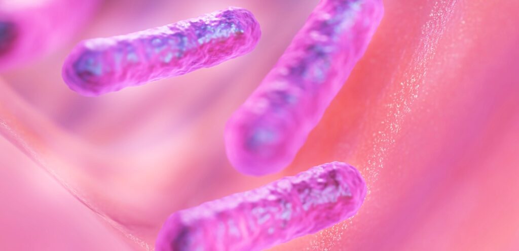 bacilli, bacteria, microbe, health, biology, science, bacteria, bacteria, bacteria, bacteria, bacteria, microbe