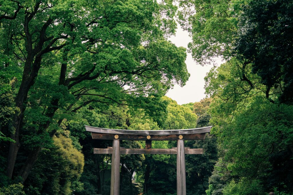 A serene view of a traditional Torii gate in Tokyo's vibrant forest setting, capturing nature's tranquility.Nagano Tonic Reviews